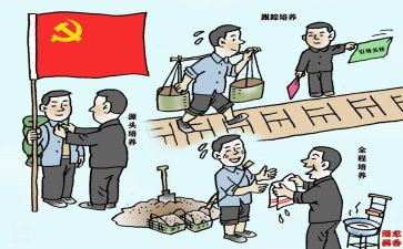 2023区长述职报告7篇