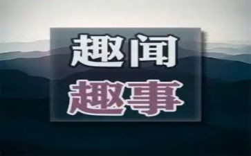 我和猫的趣事作文6篇