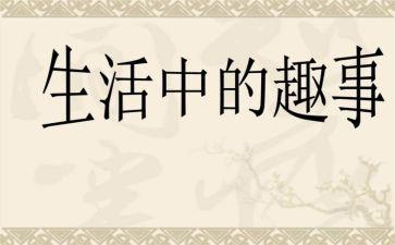 作文春节的趣事300字5篇