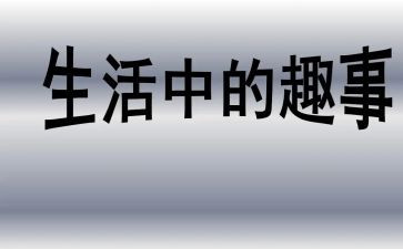 猫的趣事作文500字参考6篇