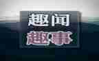 我和猫的趣事作文6篇