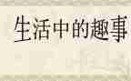 作文春节的趣事300字5篇