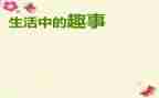 新年趣事的作文500字8篇