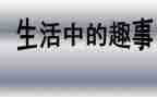 猫的趣事作文500字参考6篇