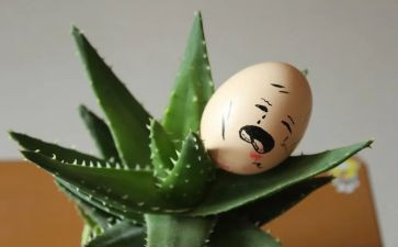 512趣味活动方案模板6篇