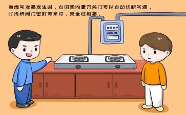 燃气检查工作总结8篇