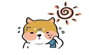 热力公司个人年度总结5篇