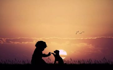 决定人生作文模板8篇