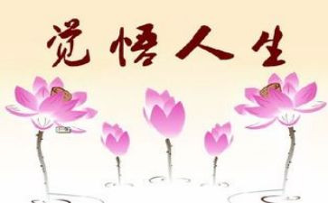 人生感悟类的作文5篇