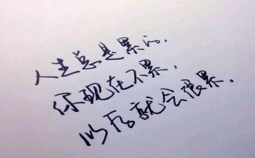 实践活动的个人心得体会8篇