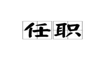 干部任职后工作总结5篇