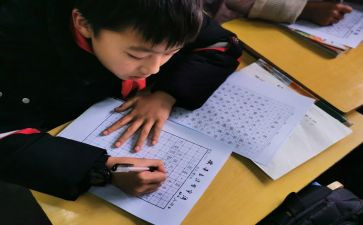 安妮日记读后感5篇