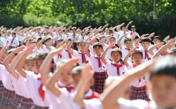 入队活动方案最新8篇