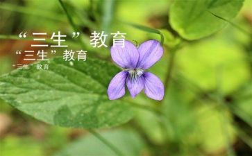 三生总结模板7篇