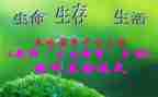 初三生活作文7篇