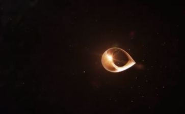高三体育工作总结7篇