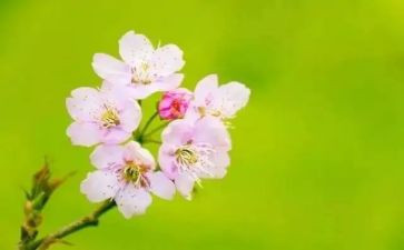 三月份活动总结7篇