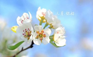 幼儿园三月到七工作计划7篇