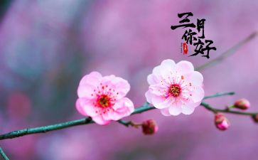 中班三月份工作计划6篇