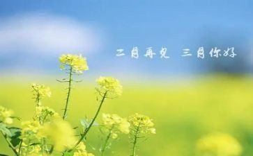 中班三月工作计划7篇