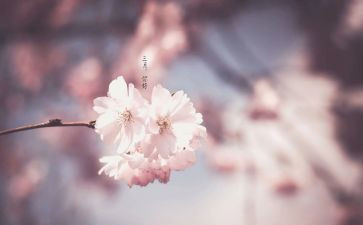 幼儿园三月份工作总结6篇