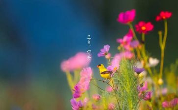幼儿三月工作计划5篇