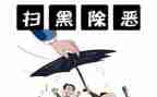 扫黑专项工作总结6篇