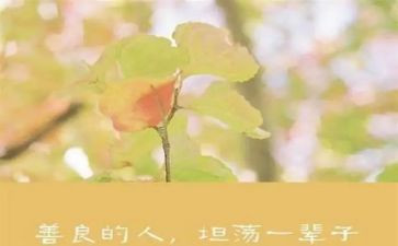 善的教育心得体会参考7篇