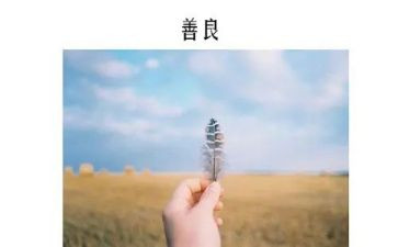 善的教育心得体会800字8篇
