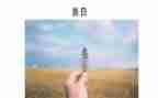 善的教育心得体会800字8篇