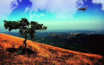 商会发言稿范文8篇