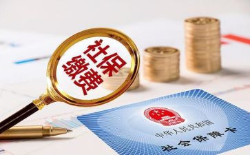 2024社保工作总结优质8篇