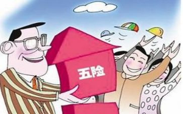 社保财务科工作总结5篇