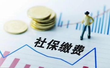 区社保局工作总结6篇