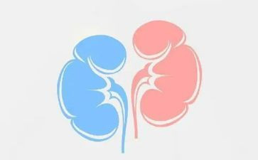 肾内科医生工作总结模板7篇