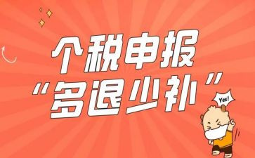 申报表个人总结5篇