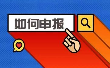 小学申报职称述职报告6篇