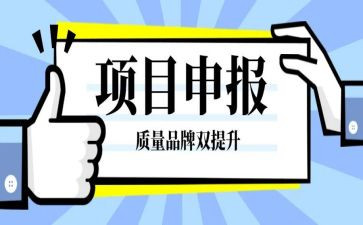 高级申报工作总结5篇