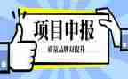 高级申报工作总结5篇