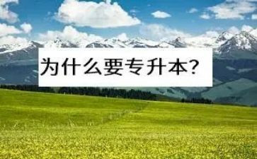 专升本毕业生鉴定自我鉴定优秀7篇