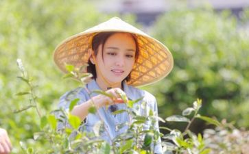 大生活活动教案5篇