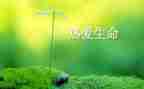 石缝间的生命的读后感7篇