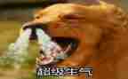 作文他生气了作文400字模板6篇