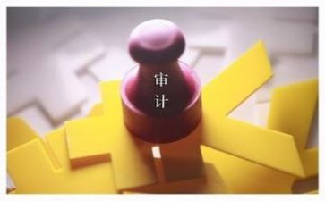 2024内部审计工作总结模板5篇
