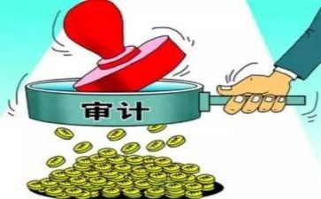 毕业审计实习报告6篇