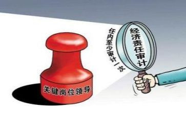 审计专业实习报告推荐6篇