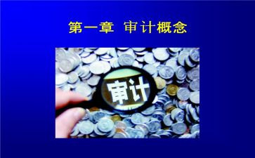 审计年度总结8篇