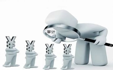 审计的工作总结最新8篇