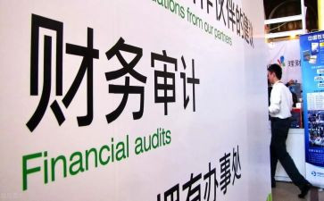 审计的工作总结模板6篇