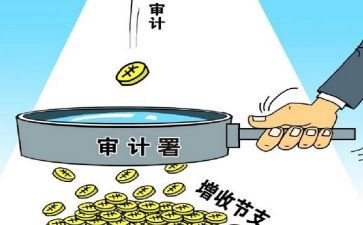 审计个人年度工作总结7篇